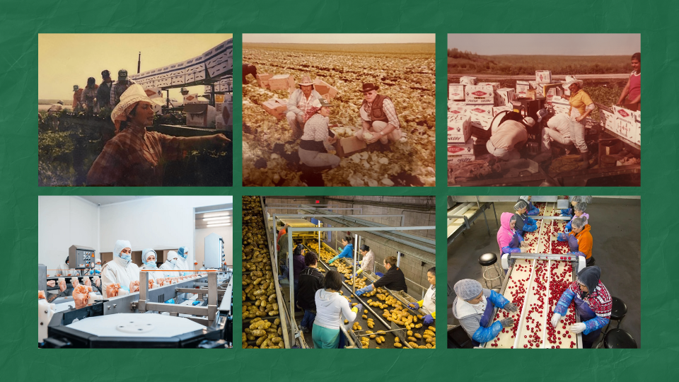 Farm labor contractor Garza Labor Celebrates World Food Day with Heart, Hope, and Community