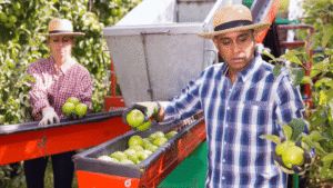 Cultivating Success by Supporting the Backbone of Agriculture - Garza Labor