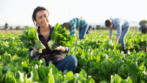 Elevating Excellence in Agriculture Through Trusted Workforce Support - Garza Labor