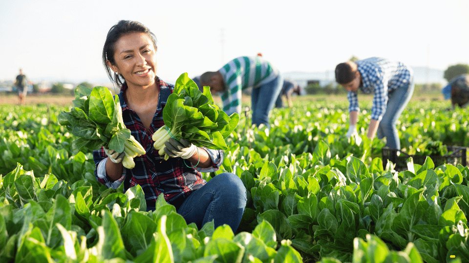 Elevating Excellence in Agriculture Through Trusted Workforce Support - Garza Labor